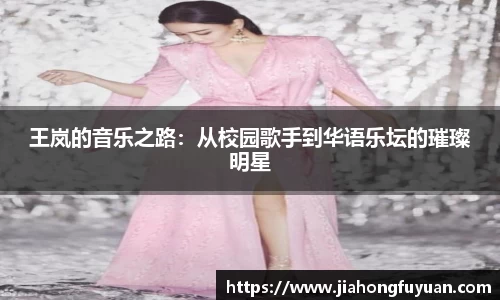王岚的音乐之路：从校园歌手到华语乐坛的璀璨明星